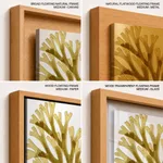 Seaweed 24