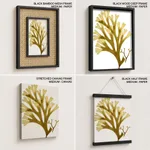 Seaweed 24