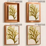 Seaweed 24