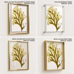 Seaweed 24