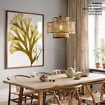 Seaweed 24