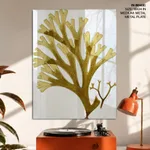 Seaweed 24