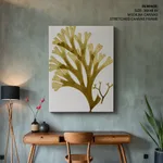 Seaweed 24
