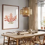 Seaweed 25