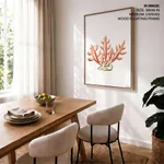 Seaweed 25