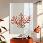 Seaweed 25