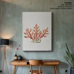 Seaweed 25