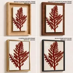 Seaweed 26