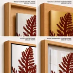 Seaweed 26