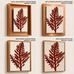 Seaweed 26