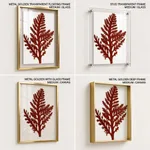 Seaweed 26