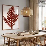 Seaweed 26