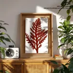 Seaweed 26