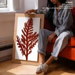 Seaweed 26