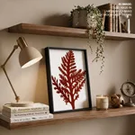 Seaweed 26