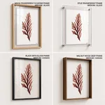 Seaweed 28