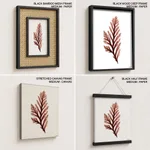 Seaweed 28