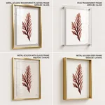 Seaweed 28