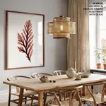 Seaweed 28
