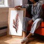 Seaweed 28