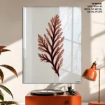 Seaweed 28