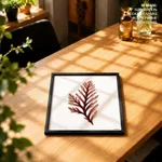 Seaweed 28