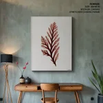 Seaweed 28