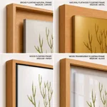 Seaweed 34