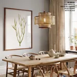 Seaweed 34