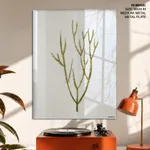 Seaweed 34