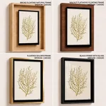 Seaweed 35