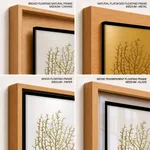 Seaweed 35