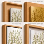 Seaweed 35
