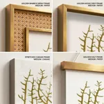 Seaweed 35