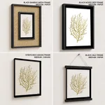 Seaweed 35