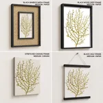 Seaweed 35