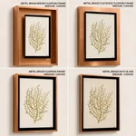 Seaweed 35
