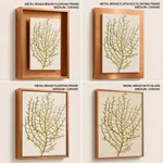 Seaweed 35