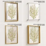 Seaweed 35