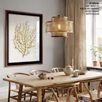 Seaweed 35