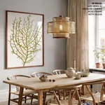 Seaweed 35