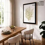 Seaweed 35