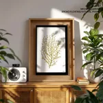 Seaweed 35