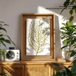 Seaweed 35