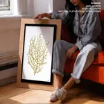Seaweed 35