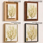 Seaweed 36