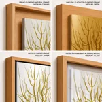Seaweed 36