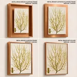 Seaweed 36