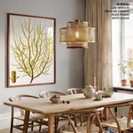 Seaweed 36