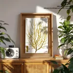 Seaweed 36